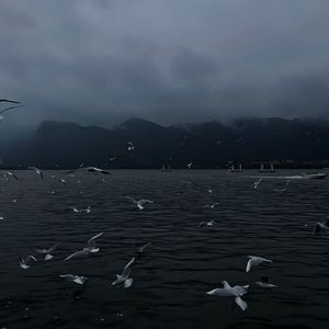 麻豆视频国产剧情演绎
