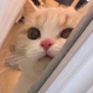 麻豆视频国产剧情演绎
